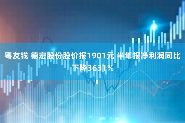 粤友钱 德宏股份股价报1901元 半年报净利润同比下降3631%